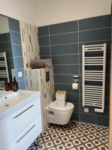 a bathroom with a toilet and a sink at Quai de la Loire in Blois