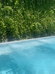 Imagen de la galería de 3DusitD2 Hua Hin - One bedroom with a beautiful view of garden and pool, en Hua Hin 14 fotos más