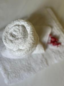 eine Nahaufnahme eines Handtuchs mit einer Blume darauf in der Unterkunft Casa Mariquilla in Sanlúcar de Barrameda + 14 Fotos