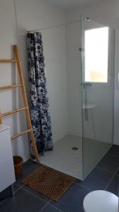 a shower with a glass door in a bathroom at maison proche du lac in Aureilhan