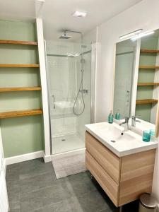 a bathroom with a shower and a white sink at Duplex familial à la campagne in Orcier
