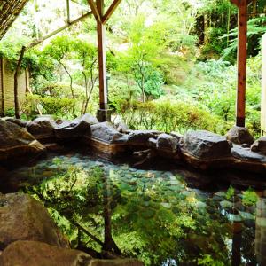 Zahrada ubytování 筑波山江戸屋
