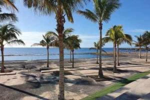 Naturlandskabet i nærheden af lejligheden