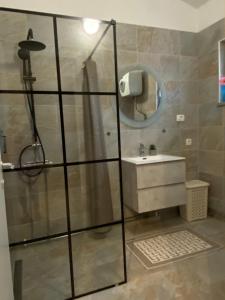 ビリセにあるVilla Andrejのシャワーと洗面台付きのバスルーム +21枚の写真