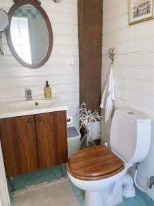 a bathroom with a toilet and a sink and a mirror at Pihlajaharju Countryside Escape in Somero
