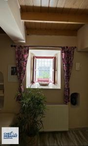 a window with curtains and a plant in a room at Chez Nebahat Boutique in Ayvalık