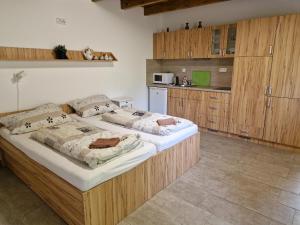 Kuchyň nebo kuchyňský kout v ubytování Apartmány pod pergolou + 17 fotografií