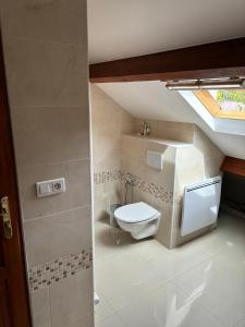 a small bathroom with a toilet and a window at Chambre a louer a Chelles 20 minutes de Paris ou Disneyland RER E in Chelles