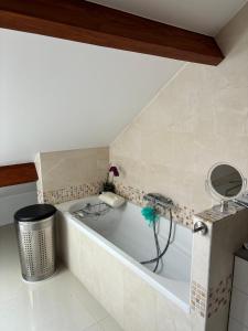 a bath tub in a bathroom with a mirror at Chambre a louer a Chelles 20 minutes de Paris ou Disneyland RER E in Chelles +5 photos