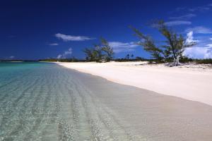 Afbeelding uit fotogalerij van Rollezz Villas Beach Resort in Old Bight