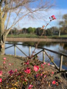 Gallery image of Houses and Apt in Caorle 43917 in Caorle