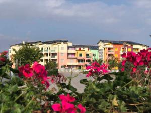 a group of buildings with pink flowers in the foreground at Houses and Apt in Caorle 43917 in Caorle