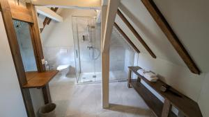 a bathroom with a shower and a toilet and a sink at Hotel De la Paix in Luzern