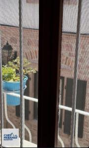 a window with a view of a potted plant at Chez Nebahat Boutique in Ayvalık