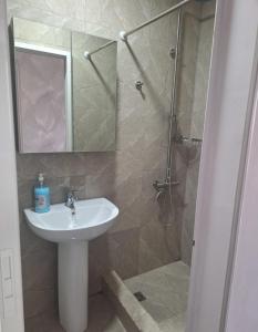 un bagno con lavandino e doccia con specchio di Apartment Karkop a Archis