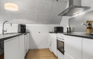 Η κουζίνα ή μικρή κουζίνα στο Awesome Home In Toftlund With Wifi