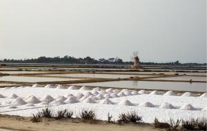 Phong cảnh thiên nhiên gần nhà nghỉ dưỡng