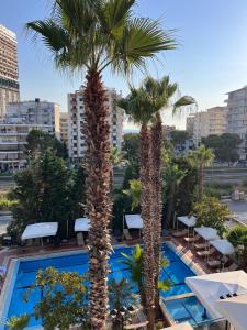 due palme accanto a una piscina di Sofra Resort a Durrës