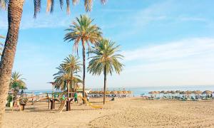 una spiaggia con palme, uno scivolo e ombrelloni di Penthouse with private pool, hot tub jacuzzi with sea views and chill-out zone, close to the sea a Marbella