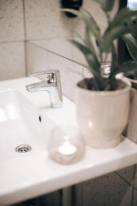 a bathroom sink with a potted plant on it at Live Lofoten Hotel in Stamsund