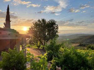 a view from a vineyard at sunset with a tree at Ático con terraza en Capçanes in Capsanes