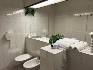 un bagno con un water, un lavandino e uno specchio di Hotel Sloup a Soběslav