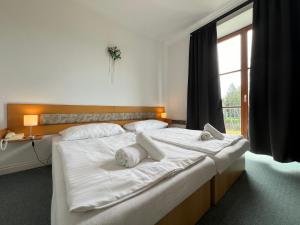 Letto o letti in una camera di Hotel Sloup