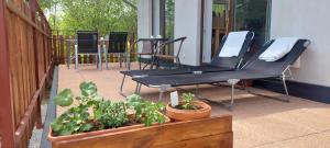 Fotografie z fotogalerie ubytování Apartmány U Špilínků-lipensko v destinaci Horní Planá + 42 fotografií