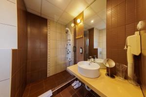 克鲁舍瓦茨Garni Hotel Biser的浴室配有水槽和淋浴。