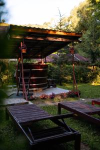 Afbeelding uit fotogalerij van Cabana La Ionica in Vălişoara +48 foto's