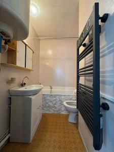 a bathroom with a sink and a toilet at L'Escapade Montagneuse in Eaux-Bonnes