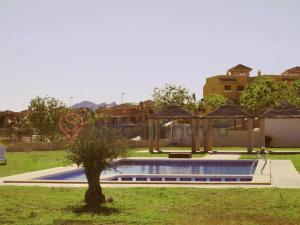 ein kleiner Baum in einem Hof neben einem Pool in der Unterkunft Buena vista apartment in Isla Plana + 18 Fotos