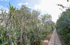 a walking path through a field of plants at Bilocale in Costa Rei