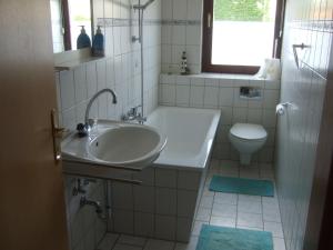 een badkamer met een wastafel en een toilet bij Fewo im Neuseenland 2 in Rötha