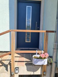 een blauwe deur met een potplant op een veranda bij Ferienwohnung in Brandis