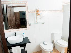 łazienka z umywalką, toaletą i lustrem w obiekcie Fabulosa, Casa Mudéjar. Centro Histórico. w mieście Carmona +22 zdjęcia