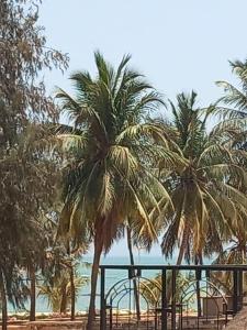 Sali PoulangにあるVILLA TABARA HOTEL LA TERANGA Saly Senegalの海岸のヤシの木