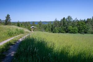 een onverharde weg in het midden van een veld bij Metsäsydän huonemajoitus in Puumala