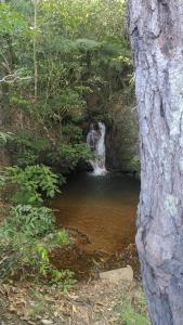 a small waterfall in the middle of a forest at Chalé do Ypê 2 in Pirenópolis
