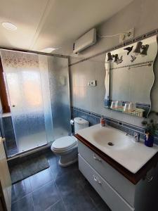 a bathroom with a toilet and a sink and a shower at Pensión Los Pasiegos in Reocín