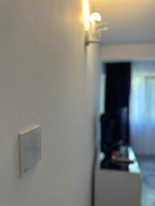 a wall with a lightswitch in a room at Forest house in Eforie Nord +38 photos