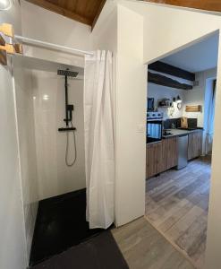 a bathroom with a shower in a room at "La petite maison" Triplex au centre ville - Les Terres du Roy in Avallon