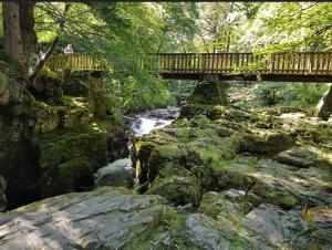 Gallery image of Sarsa Cottage Ballynahinch in Ballynahinch