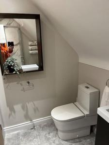 bagno con servizi igienici bianchi e specchio di Sarsa Cottage Ballynahinch a Ballynahinch Altre 45 foto