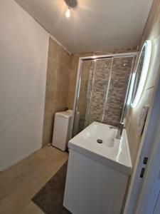 ein kleines Badezimmer mit Waschbecken und Dusche in der Unterkunft Villers vue sur mer in Villers-sur-Mer