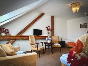 TV a/nebo společenská místnost v ubytování Hotel U Zeleneho stromu