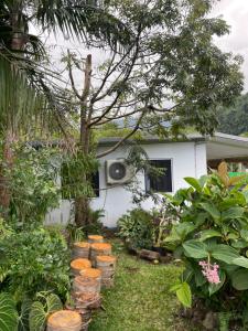 a white house with a tree and some plants at L'Écrin de Langevin in Saint-Joseph