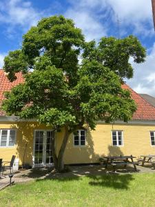 Zahrada ubytování Faaborg Vandrerhjem
