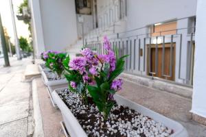 Zahrada ubytování Kastella Bohemian Pied a Terre
