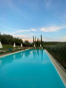 a large blue swimming pool with umbrellas and trees at Fattoria Abbazia Monte Oliveto in San Gimignano +24 photos